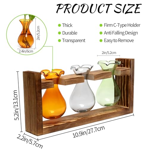 Plant Propagation Station Plant Terrarium Unique Birthday Gifts for Women - color: Color04