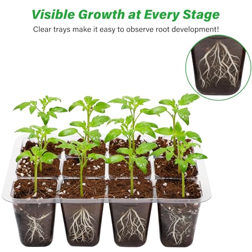 Bonviee 12-Pack Seed Starter Trays, 12-Cell Insert Trays, Clear - color: Clear, size: 144 Cells