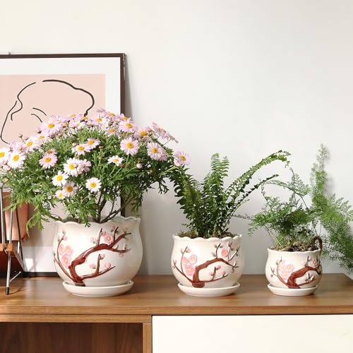 Ceramic Plant Pots with Drainage Holes and Saucers, Small Planters Set of 3 - color: White01