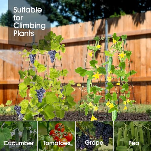 RIFNY Cucumber Trellis for Raised Bed, Garden Trellis 16.5 x 40 Inch, Green - color: Green, size: 16.5 x 40 Inch
