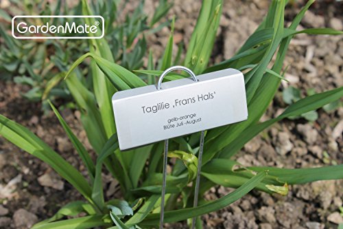 GardenMate 25-Pack Weatherproof Large Zinc Metal Plant Labels, Height 11.5", Label Area 3 1/2 x 1 1/4" - size: 25-Pack, style: 11.5'' Large Zinc