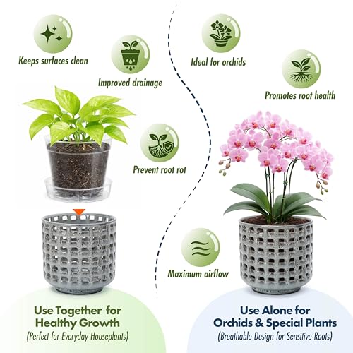D'vine Dev Orchid Pot, Clear Pot & Saucer, Graphite Blue, 6.7 in, 28-A-Y-3 - color: Graphite Blue, size: 6.7"