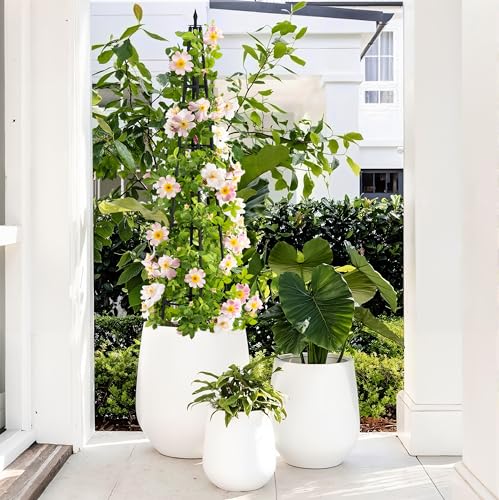 Alisisfores 4 FT Obelisk Trellis for Climbing Plants, Black - size: 4 Ft