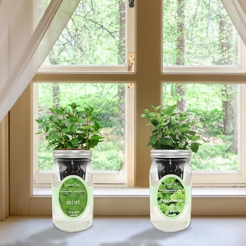 2-Pack Hydroponic Mason Jar Herb Garden Kit, Indoor Herb Garden Self-Watering Starter Kit, New Christmas Gift for Mom (Mint,Peppermint)