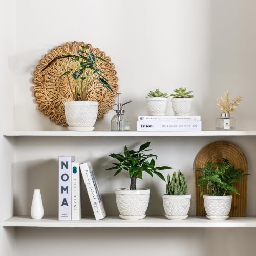 3.5" Embossed Ceramic Succulent Pots with Saucers and Mesh, Glazed White - color: Reactive Glaze White, size: 3.5 inch