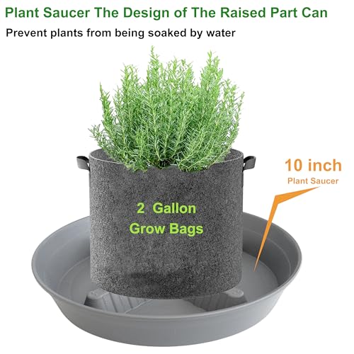 4 Pack Plant Saucer 10 inch, 8 12 14 17 inch, Plant Stand Plastic Plant Saucers for Indoors Outdoor, Heavy Duty Flower Plant Risers for Inside Pots, Pot Saucers for Plants, Grow Bags Saucers - color: Gray, size: 10"-4 Pack