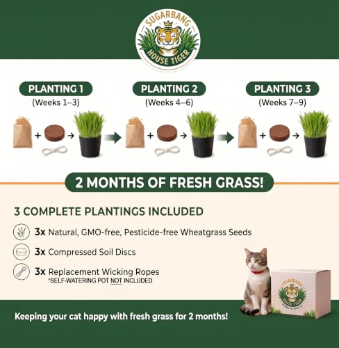 House Tiger Cat Grass Refill 3 Pack | Aids Digestion, Hairball Control & Oral Health for Indoor Pets | Includes 3 Plantings of Premium Cat Seed, Watering Wicks & Eco Friendy Coco Coir Soil Discs - size: 3-Pack Refill