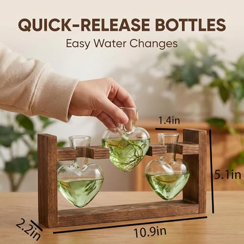 Plant Propagation Station 3Pcs Heart Vase with Wooden Stand Tabletop for Hydroponics Indoor Home Table Decor for Her Plant Lovers Women Mom Wife Daughter (Green) - color: Green