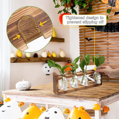 Plant Propagation Stations Halloween Skull Plant Terrarium Kit - color: Transparent