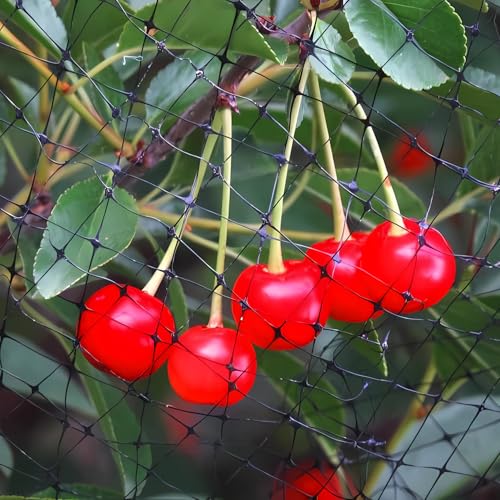 Bird Netting 13x40FT, 3/4" Mesh Garden Netting for Plant Protection - size: 13x40FT