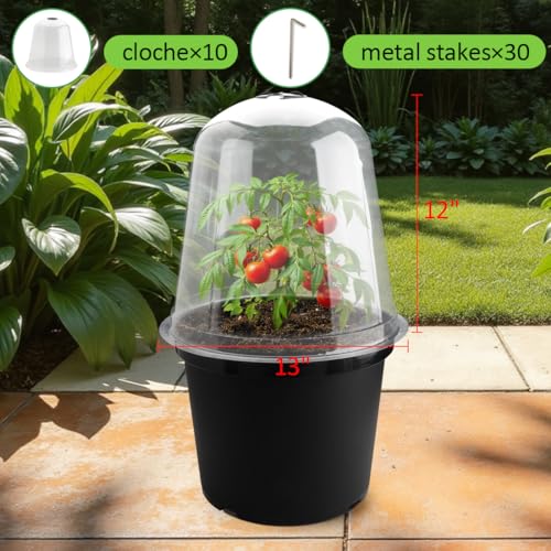 13 Inch Humidity Domes Garden Cloches for Plant Protection, Plant Covers Freeze Protection, Protectors from Animals, Garden Clear Plant Cover with Ventilation Holes 10 Pack - size: 13" D × 12" H 10P