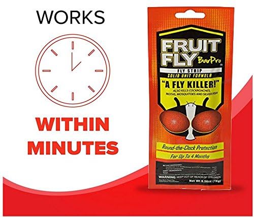 Fruit Fly BarPro – 4 Month Protection Against Flies, Cockroaches, Mosquitos & Other Pests – Portable for Indoor & Outdoor Use - size: 10 Pack