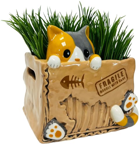 Streamline Imagined Cat in the Box Planter - color: Cat in the Box