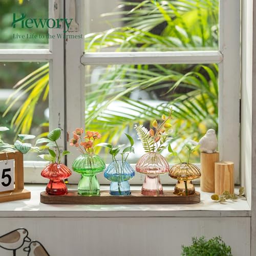 Hewory Plant Propagation Station: 5PCS Colored Mushroom Vase with Wood Tray - color: Colored, size: 5