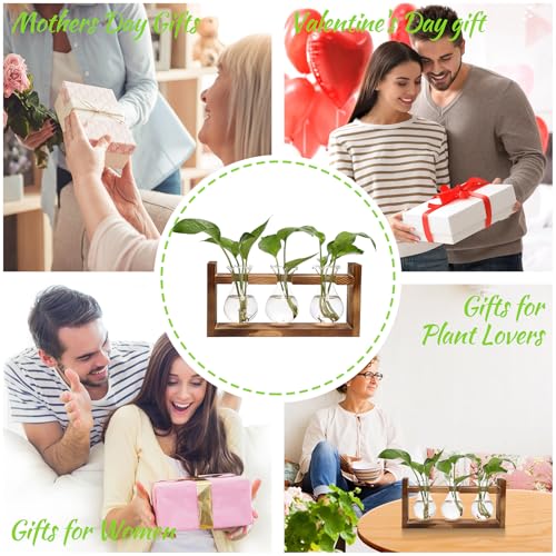 Plant Propagation Station Plant Terrarium Unique Birthday Gifts for Women - color: Transparent
