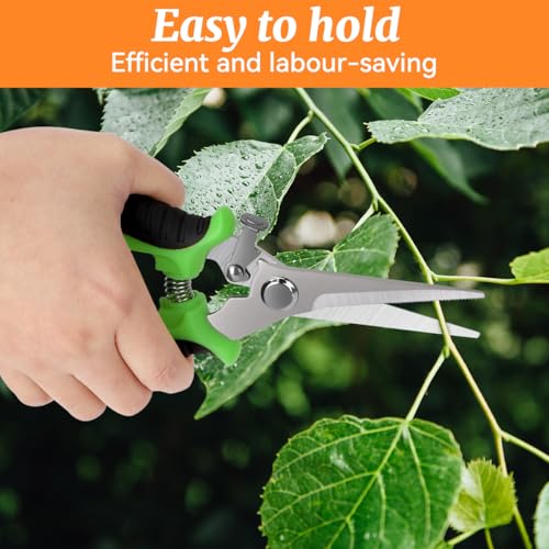 2Pcs Stainless Steel Garden Pruning Shears, Antiskid Curved Sharp Floral Cutter, Snips Parrot-Beak Style - Green - color: Green