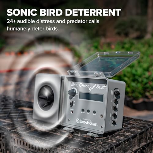 Bird B Gone Bird Chase Super Sonic, Outdoor Sound Repellent - style: Bird Chase Super Sonic