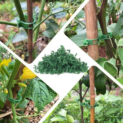 Plant Support Clips, Tomato Clips for Trellis & Climbing Plants, 100PCS - color: Green