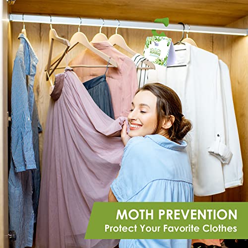 MothMag Moth Traps for Clothes, Closets, Fabrics, and Carpets, Clothing Moth Traps, Clothes Moth Traps, Closet Moth Traps, Moth Pheromone Traps, Extra-Strength Adhesive Glue Clothes Moth Trap, 6 Pack - color: Green