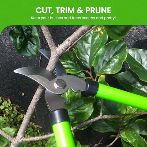 GARDEN GURU Bypass Loppers Tree Trimmer Clipper – Compact 15 inch High Carbon Steel Blade Gardening Loppers Pruning Shear - Comfort Grip Handles – Heavy Duty Branch Cutter – Cut Thick Branches w Ease - size: 1 Pack, style: Bypass Loppers