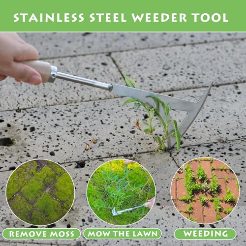 Crack Weeder, 13.4" Stainless Steel Crevice Weeding Tool with Wood Handle, L-Shaped Side-Walk Weed Puller Spatula, for Garden Lawn Yard Patio Terrace Paving Moss, Small Gardening Tool - size: 13.4" Crack Weeder