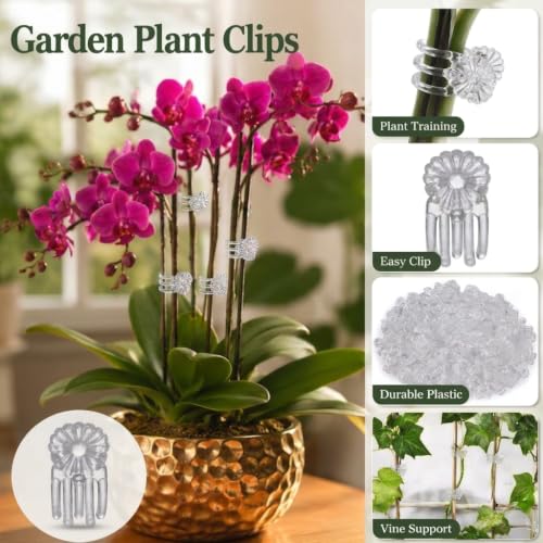Garden Plant Clips, White Orchid Stem Support Clamps for Vine Training, Flower Stake Holders, 50 Count Pack - color: White