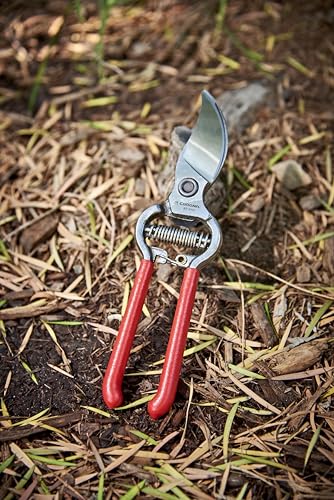 Corona ClassicCUT Forged Bypass Hand Pruner, Red, 3/4" - size: 3/4 inch