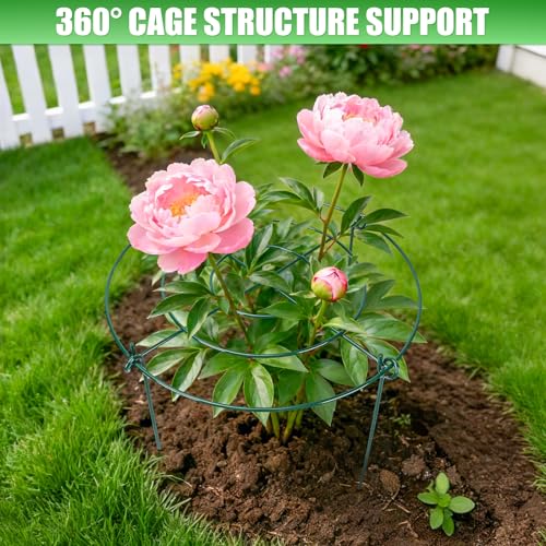 8 Pack Peony Cages and Supports, 11.5 x 20 Inch Plant Support Cage Set - size: 8 Pack- 11.5*20"