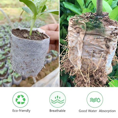 Belit 50 Pcs Non-Woven Plant Nursery Bags, Seedling Pots Container for Vegetable, Flower, Plant Grow (9.1"x9.3") - size: 50 Pcs 9.1"x9.3"