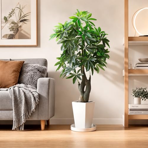 Ceramic Plant Saucer 12.5 Inch 1 Pack White, Fits Pot Base Under 12 Inch - size: 12.5in 1pack