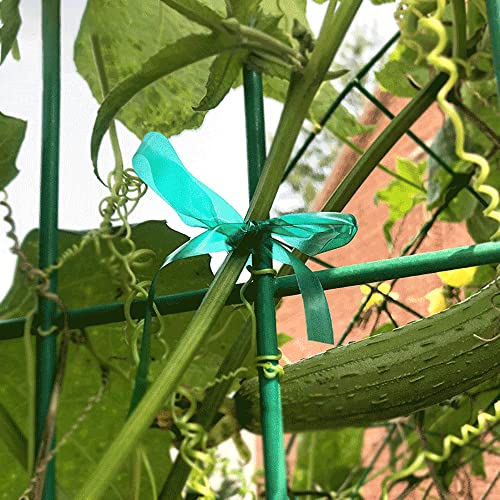 2 Rolls Stretch Tie Tape Garden Tie Green Thick Plant Ribbon for Indoor Outdoor Patio Plant Tree, Branches, Climbing Planters, Flowers, 0.5 Inch Wide by 150 Feet Long - size: 0.5 Inch