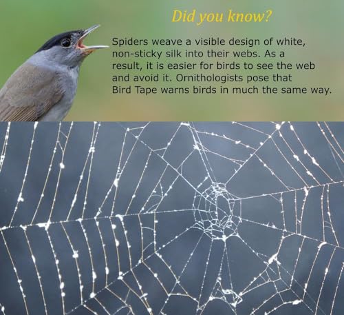 COLLIDESCAPE Spiderweb Clear BirdTape for Windows (3/4" x 20' - Covers 1 to 2 panes) | Bird Tape Decals to Prevent Bird Strike Prevention for Glass | Clear - size: 3/4 x 20'