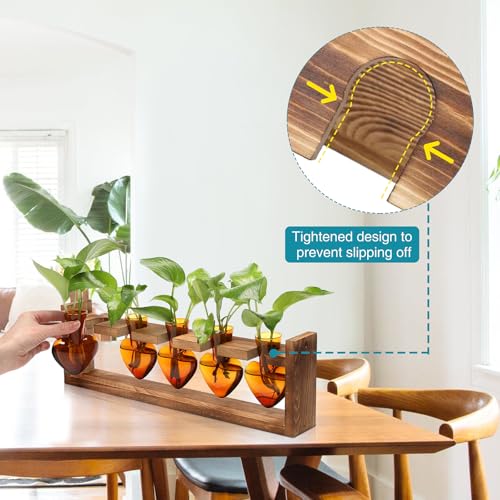 Plant Terrarium Hanging Propagation Stations Gift for Women - color: Amber