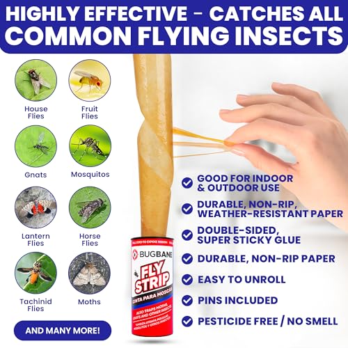 Fly Strips Indoor Sticky Hanging 10pk with Pins. Non Toxic Outdoor Fly Trap Indoor for Home. Flies Tape Paper Trap Ribbon Roll for House Gnat Fruit and Housefly. Bug Catchers for Inside Home Flypaper. - size: 10 count