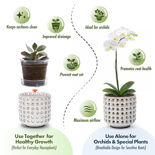 D'vine Dev Orchid Pot, Clear Pot & Saucer, Smoked White, 4.5 in, 28-A-Z-1 - color: Smoked White, size: 4.5"