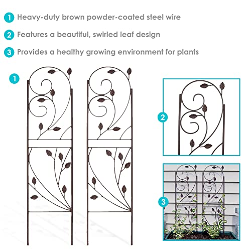 Sunnydaze 32-Inch Rustic Plant Design Outdoor Garden Trellis - Metal Wire Plant Support Trellis for Climbing Plants - Brown - Set of 2 - style: Rustic