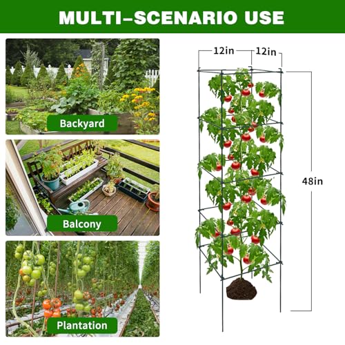 6 Packs Tomato Cages for Garden, 12"×12"×48" Plant Support Cage with Different Spacing, Green Metal Trellis for Climbing Plants Like Cucumber, Flowers - size: 12"×12"×48“ 6 Packs