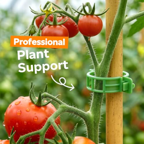 100Pcs Tomato Clips for Climbing Plants Trellis Plant Support Clips - color: Green
