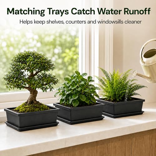 Plastic Bonsai Training Pots 3 Pack, 9 Inch with Drainage Holes and Trays - size: Large