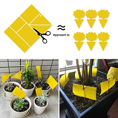Kensizer 50-Pack Fruit Fly Trap, Yellow Sticky Gnat Traps, 6x8 in - size: 50-Pack