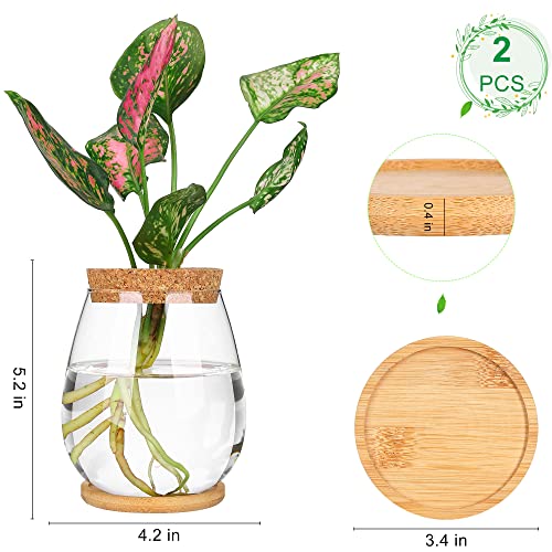 Plant Propagation Station,2 Pcs Glass Vases with Wooden Stand & Lid - size: 4.2" L x 4.2" W x 5.2"H
