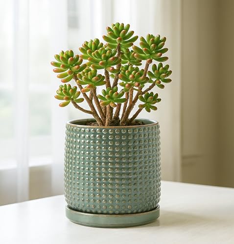 D'vine Dev Beaded Ceramic Pot with Saucer, 6 in, Olive, 27-C-X-0 - color: Olive, size: 5.8 Inch