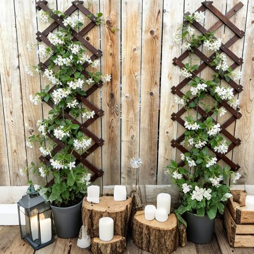 Expandable Garden Trellis, 13"x68" Trellis for Climbing Plants Outdoor 1Pcs - size: 13" x 68" 1 Pack