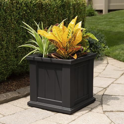 Mayne Cape Cod 14in Self-Watering Square Planter, Black - color: Black, size: 14in