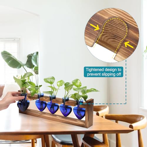 Plant Terrarium Hanging Propagation Stations Gift for Women - color: Blue