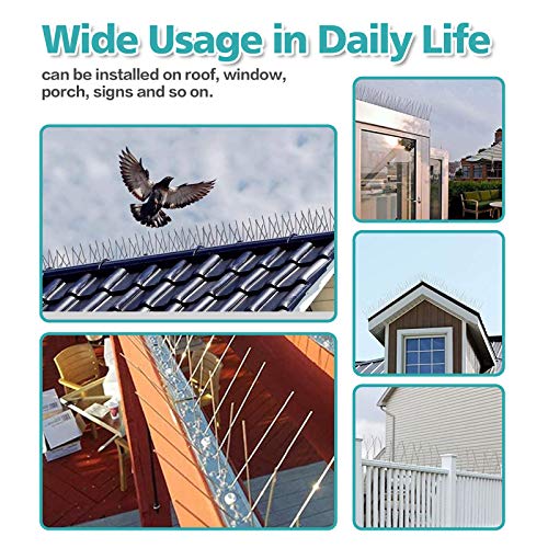 KKY Bird Spikes Stainless Steel Base, Metal Bird Repellent Nail Fence Kit, Can Be Used to Stop Pigeons and Other Small Birds, Covering 43.2 Feet 40 Packs. - size: 43.2 Feet