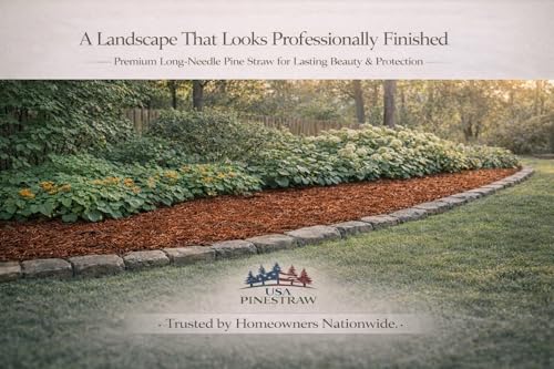 Long Needle Pine Straw Mulch - 300 Sqft Coverage 1 Set - Premium USA Harvested PineStraw for Landscaping, Weed Control, Moisture Retention & Erosion Control - USA Pinestraw - size: Pine Needle Mulch - 300 Sqft 1 set