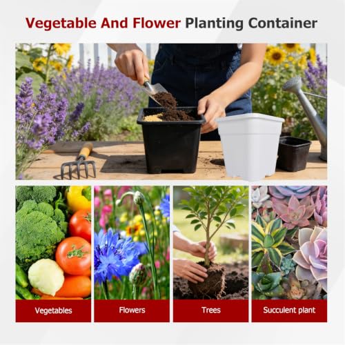 findmall 5 Gallon Square White Nursery Pots Plant Pots Grow Pots Nursery Container for Planting Soil Plants 10 Pcs - color: White, size: 5 Gallon