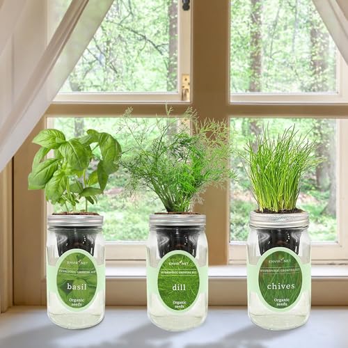 Hydroponic Herb Growing Kit Set, Self-Watering Mason Jar Herb Garden Starter Kit Indoor, Windowsill Herbs Garden, Grow Your Own Herbs from Organic Seeds (Basil, Dill, Chives) - color: Basil, Dill & Chives