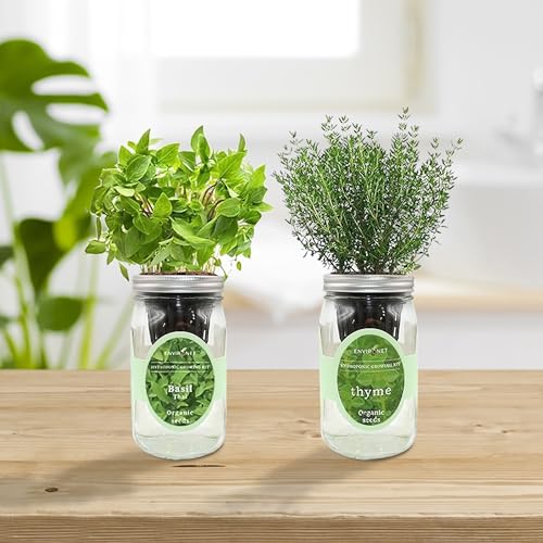 2-Pack Hydroponic Mason Jar Herb Garden Kit, Indoor Herb Garden Self-Watering Starter Kit, New Christmas Gift for Mom (Thyme,Thai Basil)